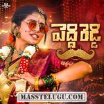 Peddi Reddy (Indie) movie poster